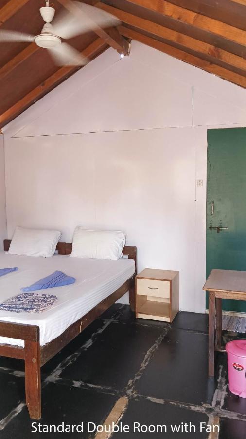 Bed and Breakfast The Nest Palolem à Canacona Extérieur photo